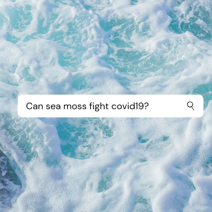 Immune Boosting Home Remedies— How Sea Moss Became a Staple in households all across the GTA in the Fight Against Covid-19.